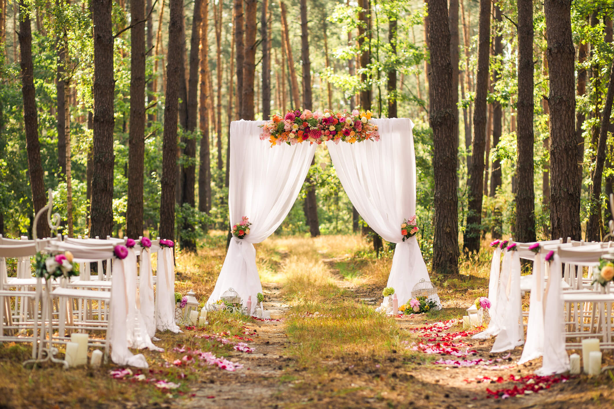 Forest Wedding Theme